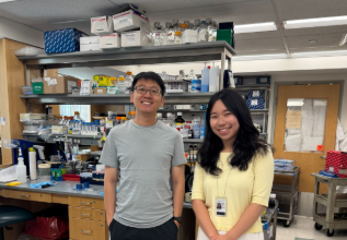 Yan Lab research image 3